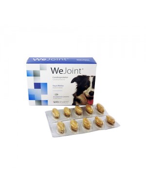 WEJOINT RAÇAS MÉDIAS 120 COMP.